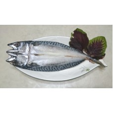 挪威鯖魚一夜干(二尾裝)